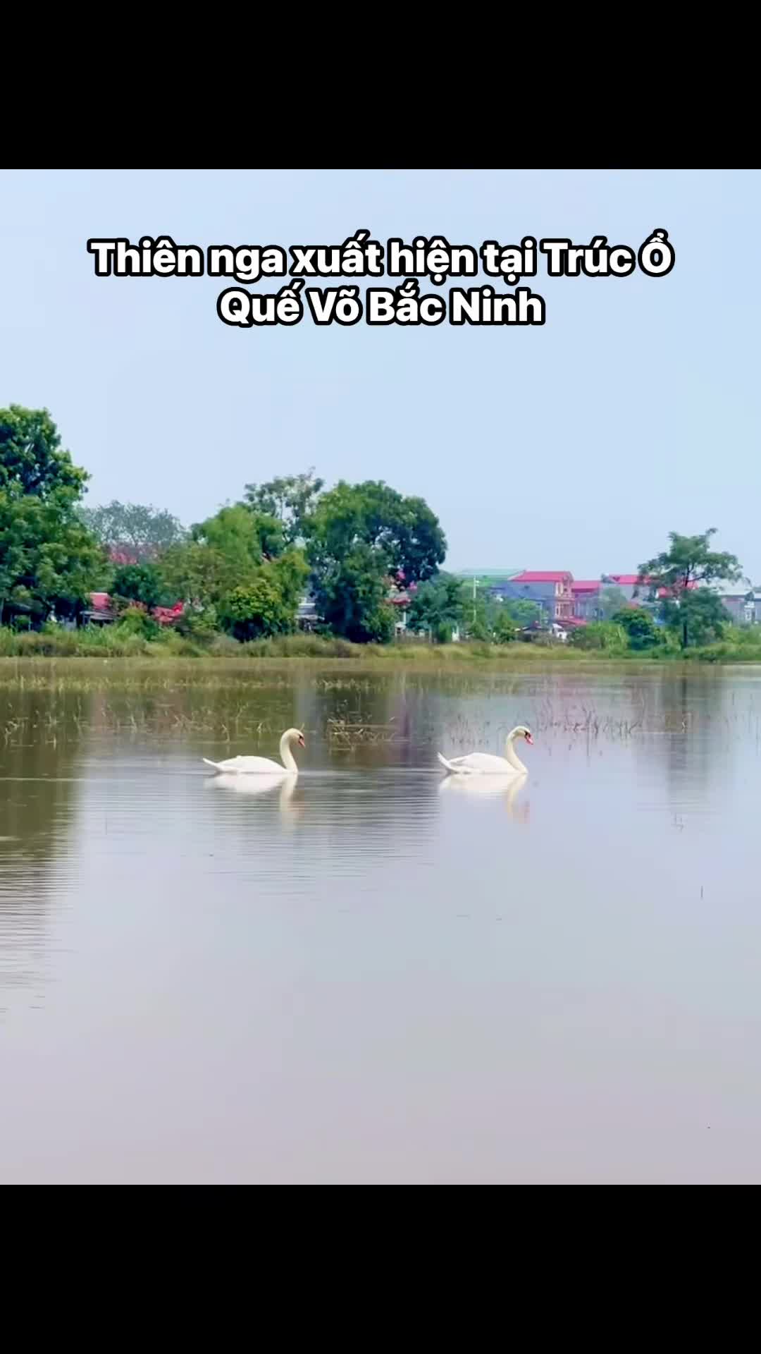 1-facebook-1-1759531388.mp4