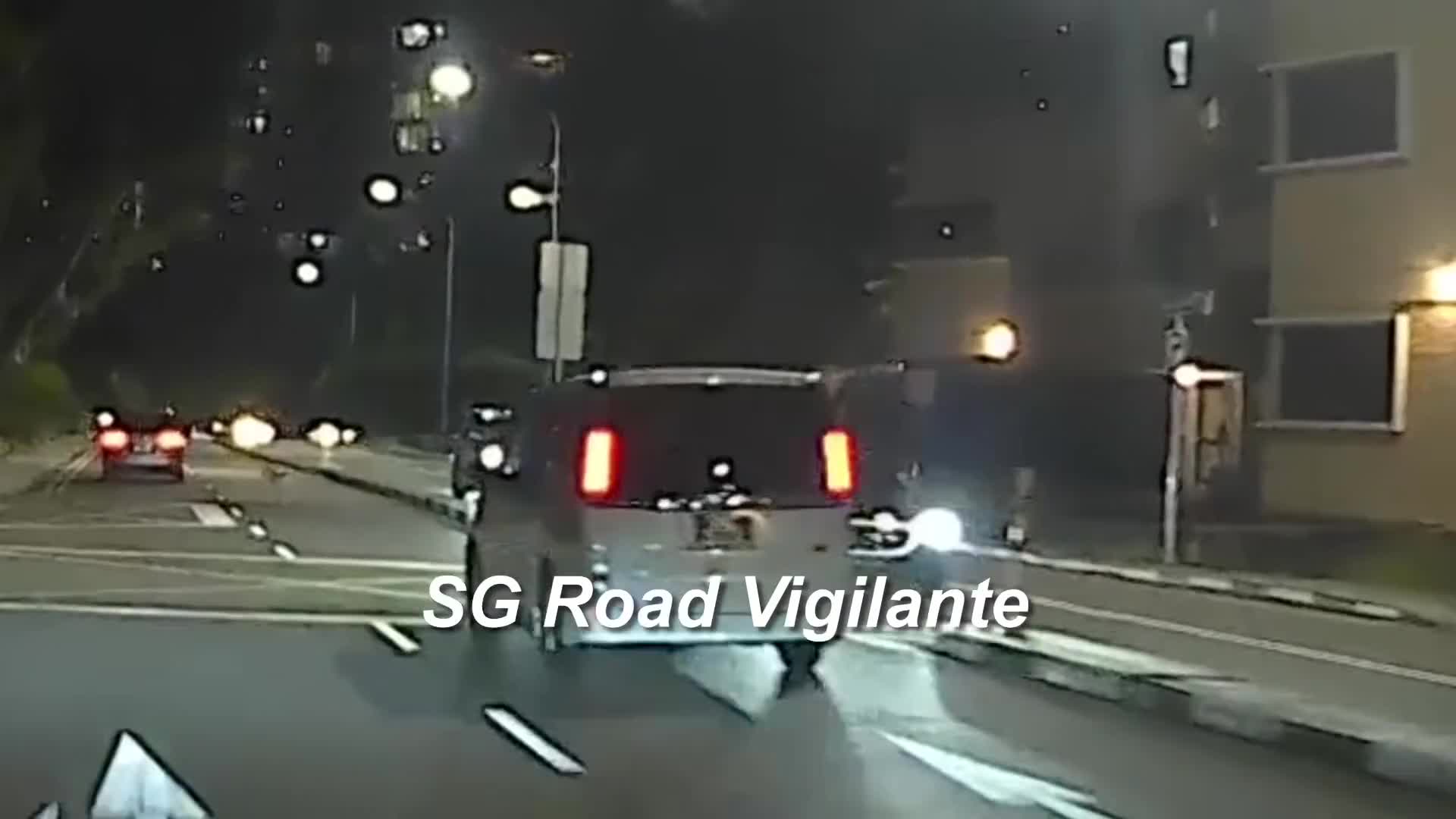 22mar2025-2000hrs-grange-road-toyota-noah-hit-and-run-on-unleashed-dog-standing-in-the-middle-of-the-road-quoted-the-road-traffic-act-states-that-drivers-who-hit-a-dog-and-fail-to-stop-and-render-assistance-can-f-1-1742783052.mp4