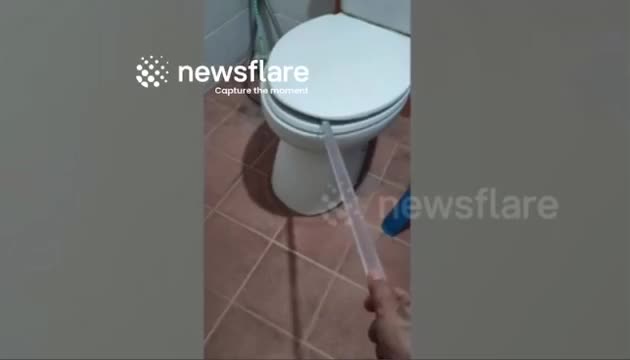 439bbb3a7b8e12ef7eee1f64ebfd7ccc-1791347285.mp4