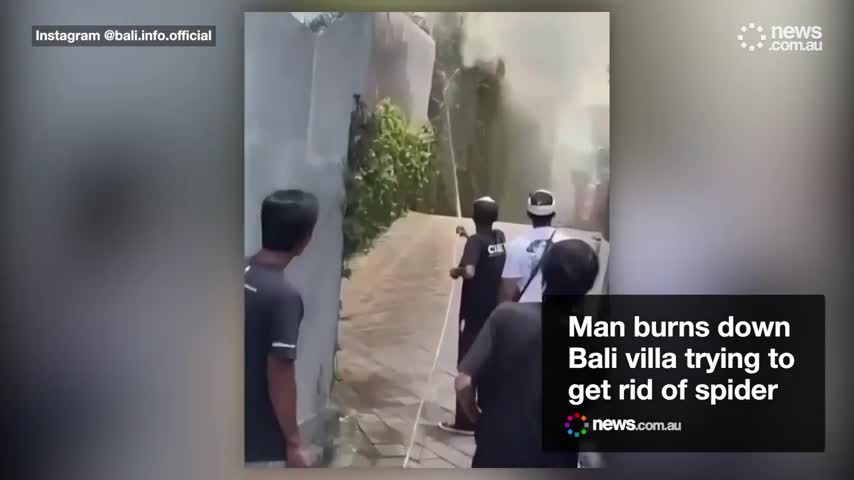 5460ae5fc3ececa70fba0a2dd30bfaf3-1792038345.mp4