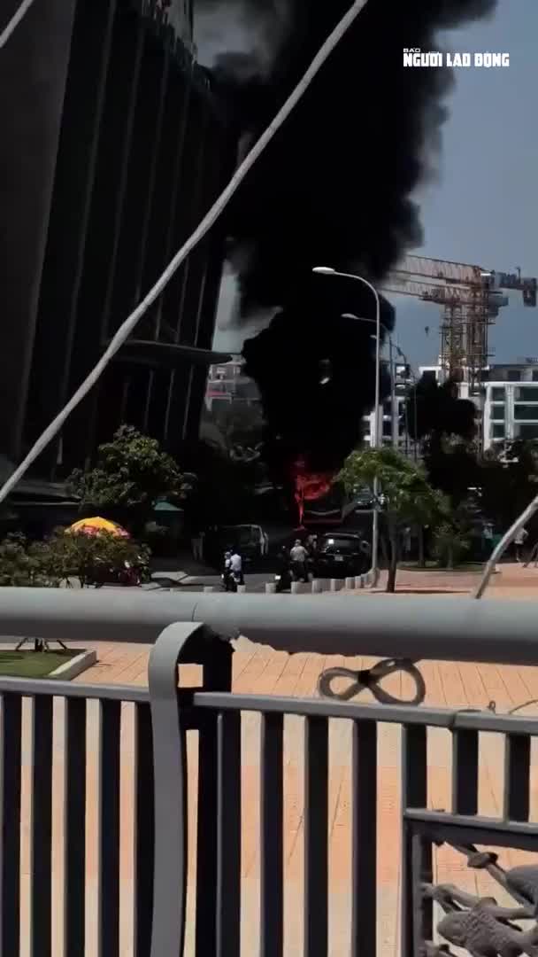 65076ca00026d1f5282f600a915d761d-1775033411.mp4