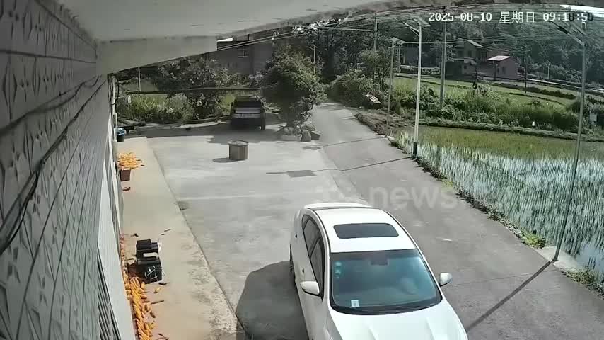7235fafde198fc5ca32ea4f32aeae5b7-1755315611.mp4