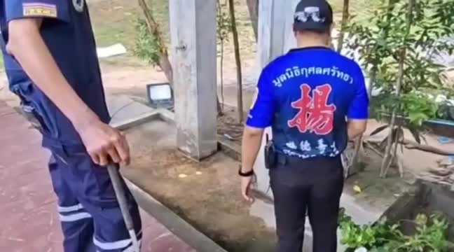 7b2f7d0603b0c9feb197e4f1cc16a4cd-1792817328.mp4