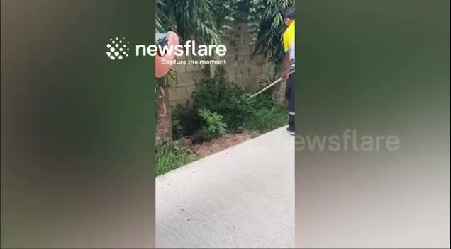 7d7c0034b25a0549ce69919c8945c67b-1790565875.mp4