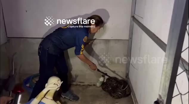 a14d983be81c21c4b51f386bd1c3a93a-1783498329.mp4
