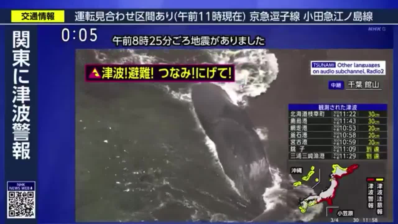 at-least-4-whales-have-washed-up-along-t-1486-1753859665.mp4