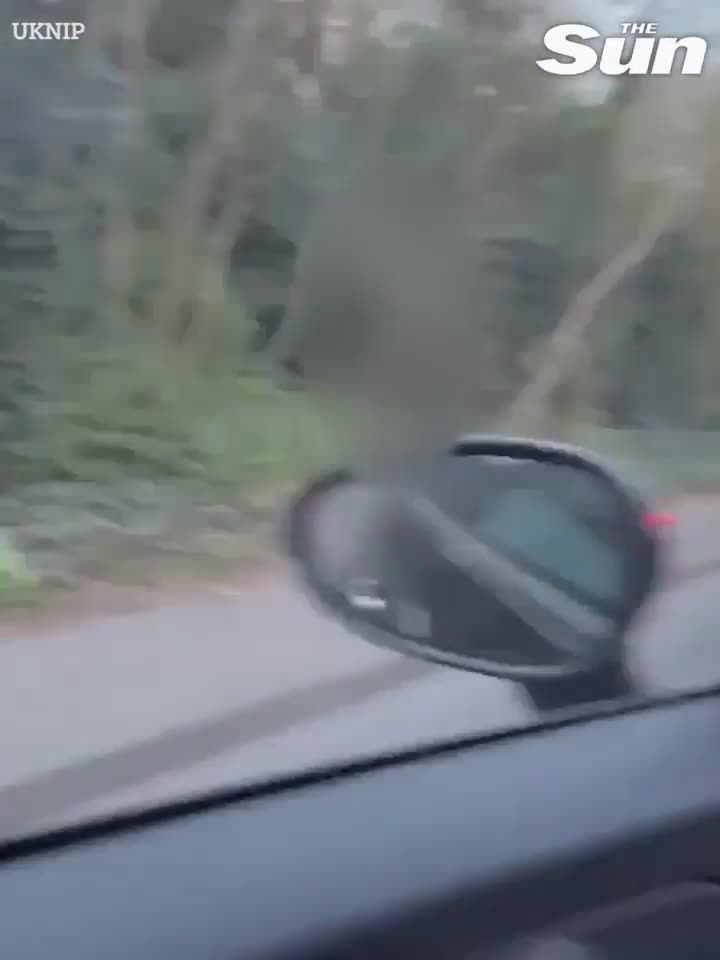 au-da-1744337143.mp4