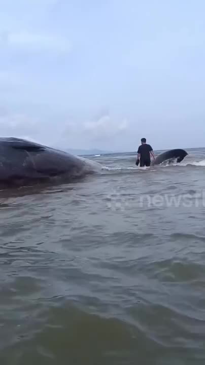 bae03cee788566a752666789a365c6a5-1773281317.mp4