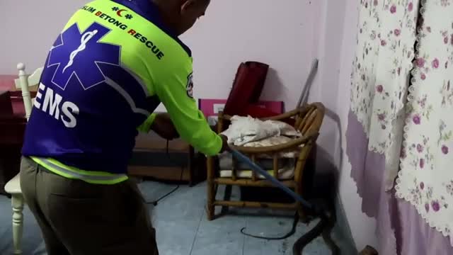 bat-song-ran-ho-mang-chua-dai-3-met-nang-6kg-bo-vao-nha-dan-1783324882.mp4
