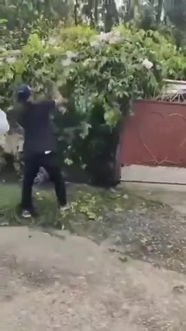 bat-song-ran-ho-mang-chua-khong-lo-an-nap-tren-ngon-cay-1773618224.mp4