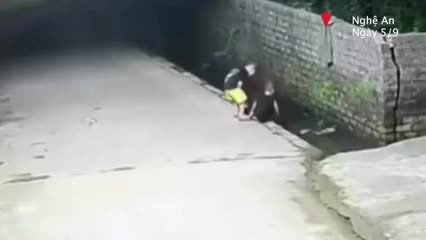 be-trai-nhanh-tri-cuu-ban-roi-xuong-muong-1757134077.mp4