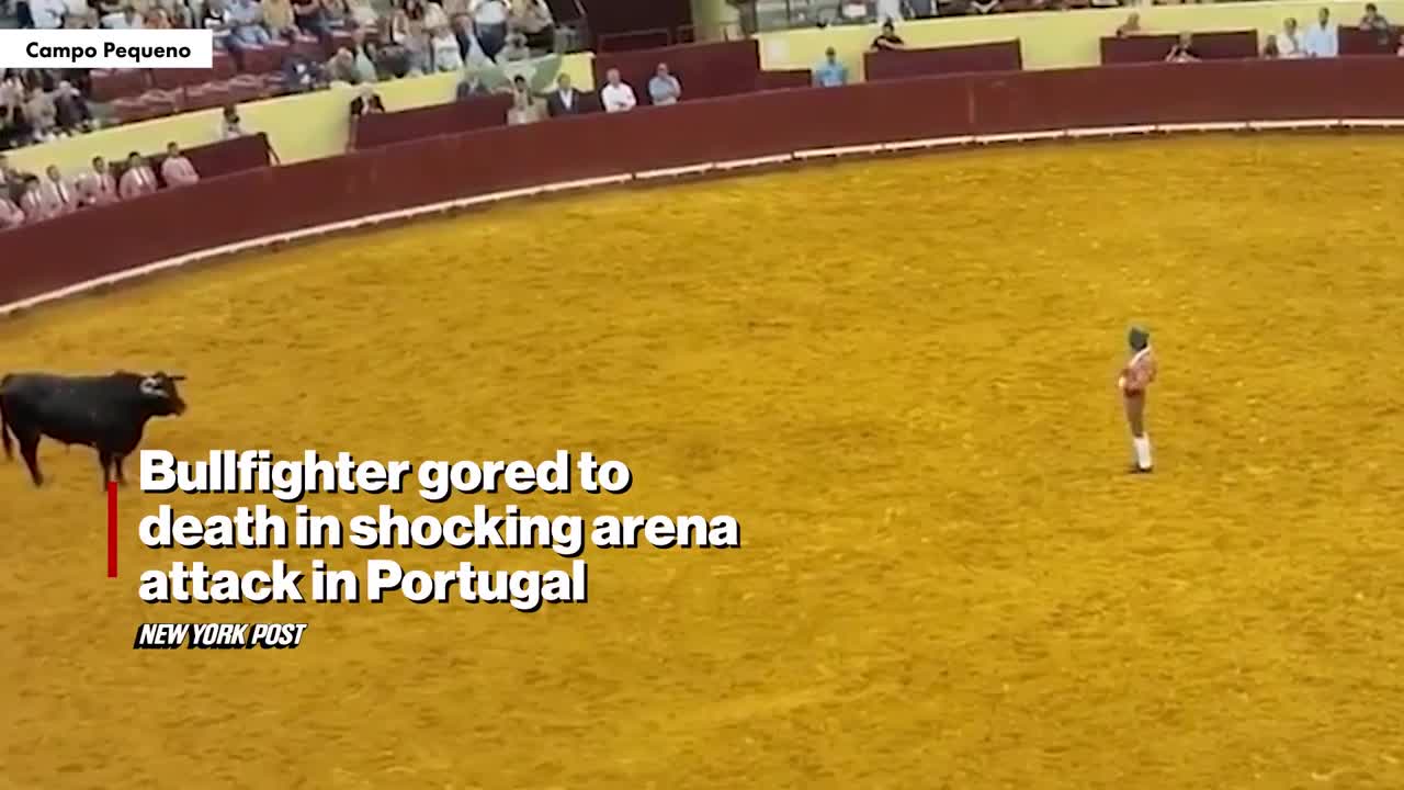 bullfighter-is-gored-to-death-during-his-first-performance-1756268843.mp4