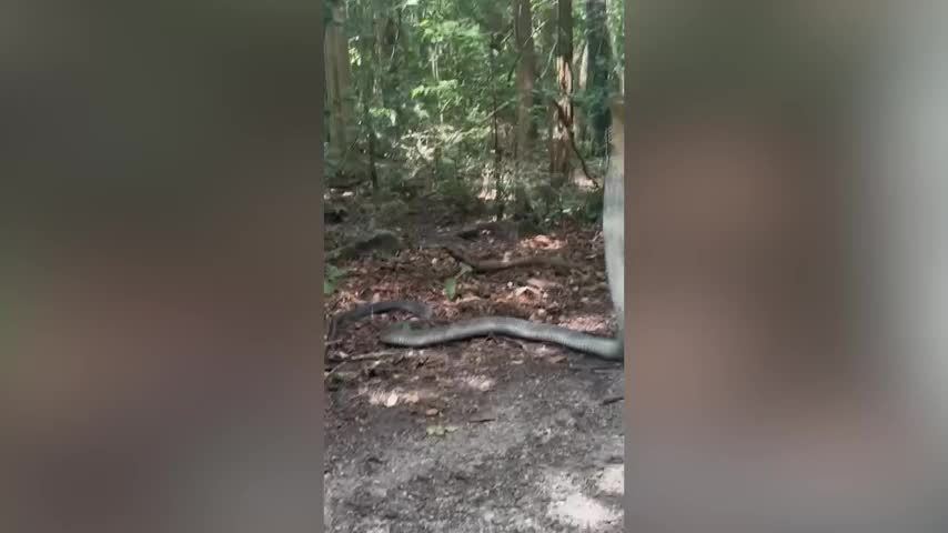 c303709837d35d2a9b595c7b03551661-1775033983.mp4