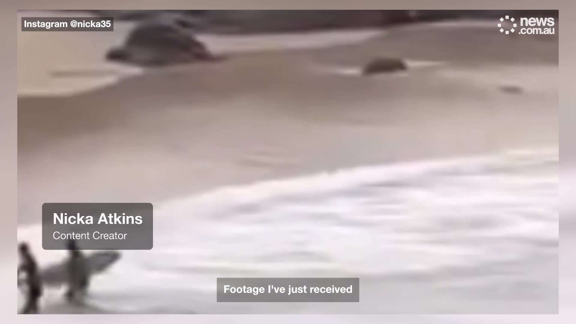 ca-1751514314.mp4