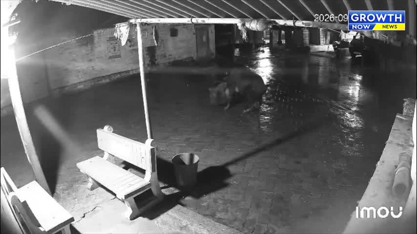 camera-giam-sat-ghi-duoc-canh-tuong-dang-so-trong-dem-1789363950.mp4