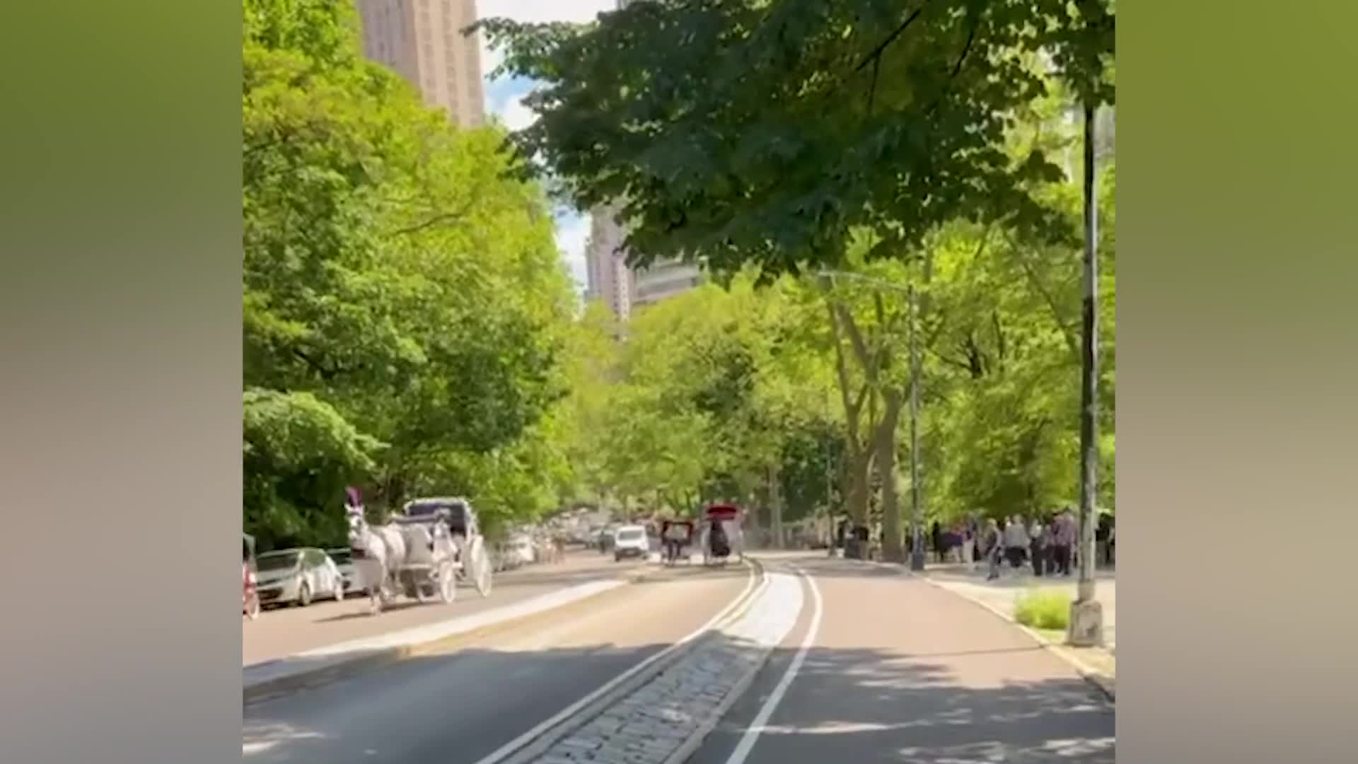 central-park-carriage-driver-breaks-wrist-others-injured-after-two-horses-break-loose-1748511711.mp4