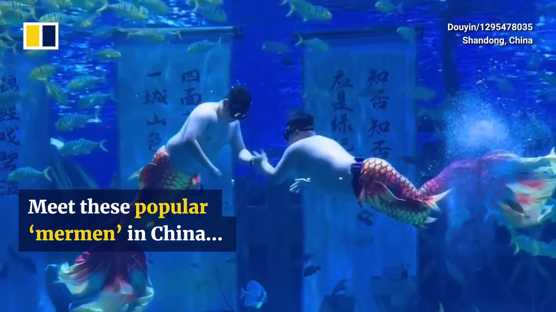 chubby-mermen-take-over-aquarium-in-china-1746522913.mp4