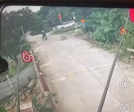 clip-nam-thanh-nien-cuu-chau-be-thoat-chet-trong-tich-tac-khi-tau-hoa-lao-den-1752240700.mp4
