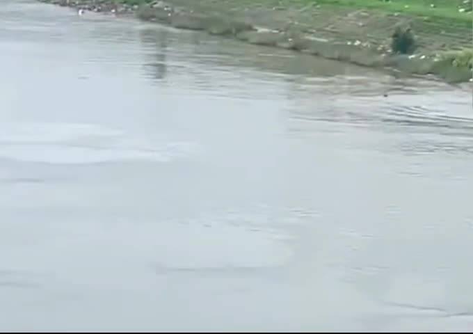 co-giao-o-nam-dinh-lao-minh-xuong-song-cuu-nu-sinh-duoi-nuoc-1748249735.mp4