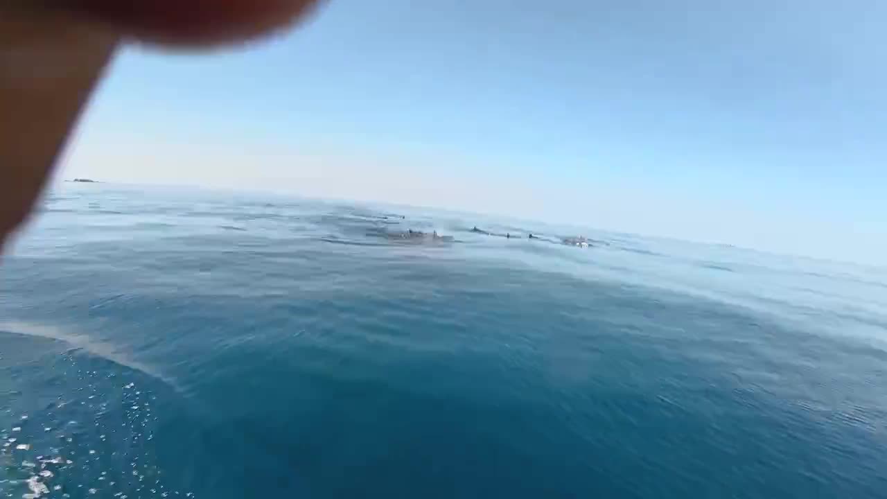 dan-ca-voi-gan-100-con-boi-loi-gan-bien-dao-phu-quy-bao-nhan-dan-dien-tu-1775438943.mp4