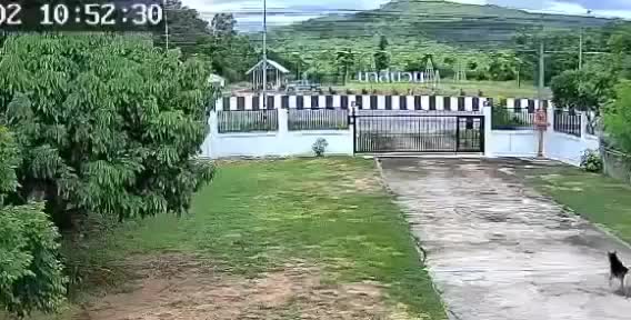 dang-di-bo-tren-duong-8-nha-su-tu-vong-khi-bi-xe-ban-tai-dam-trung-1783127443.mp4