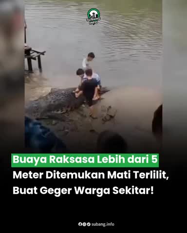 di-kiem-tra-luoi-ngu-dan-soc-nang-khi-thay-canh-tuong-truoc-mat-1788747834.mp4