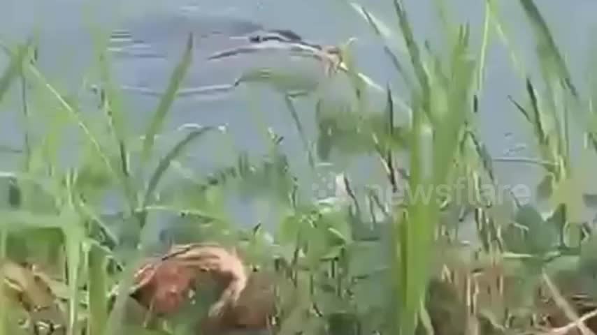 di-tam-cau-be-12-tuoi-bi-thu-dang-so-can-tu-vong-tren-song-1787884537.mp4