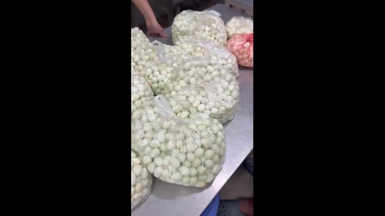 dien-bien-moi-nhat-vu-phu-huynh-phat-hien-thit-trung-cut-boc-mui-tuon-vao-truong-hoc-tai-ha-noi-1760585021.mp4