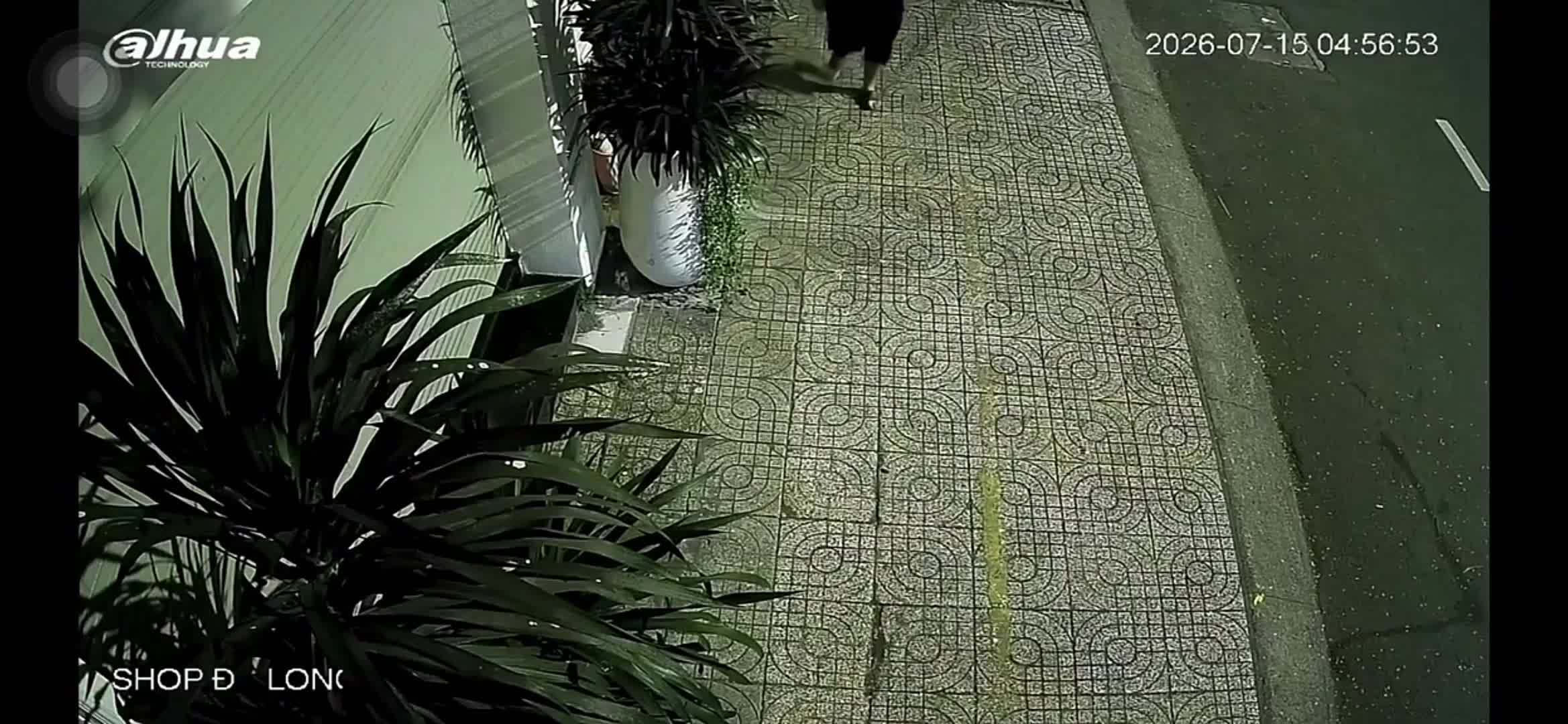 do-long-1784103007.mp4
