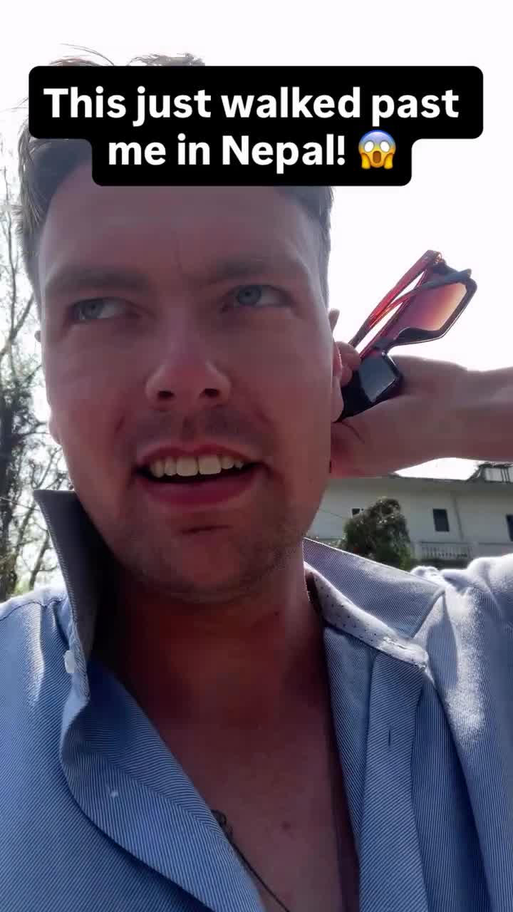 e15e8c488280356e3943e4d7f9c235eb-1774508244.mp4