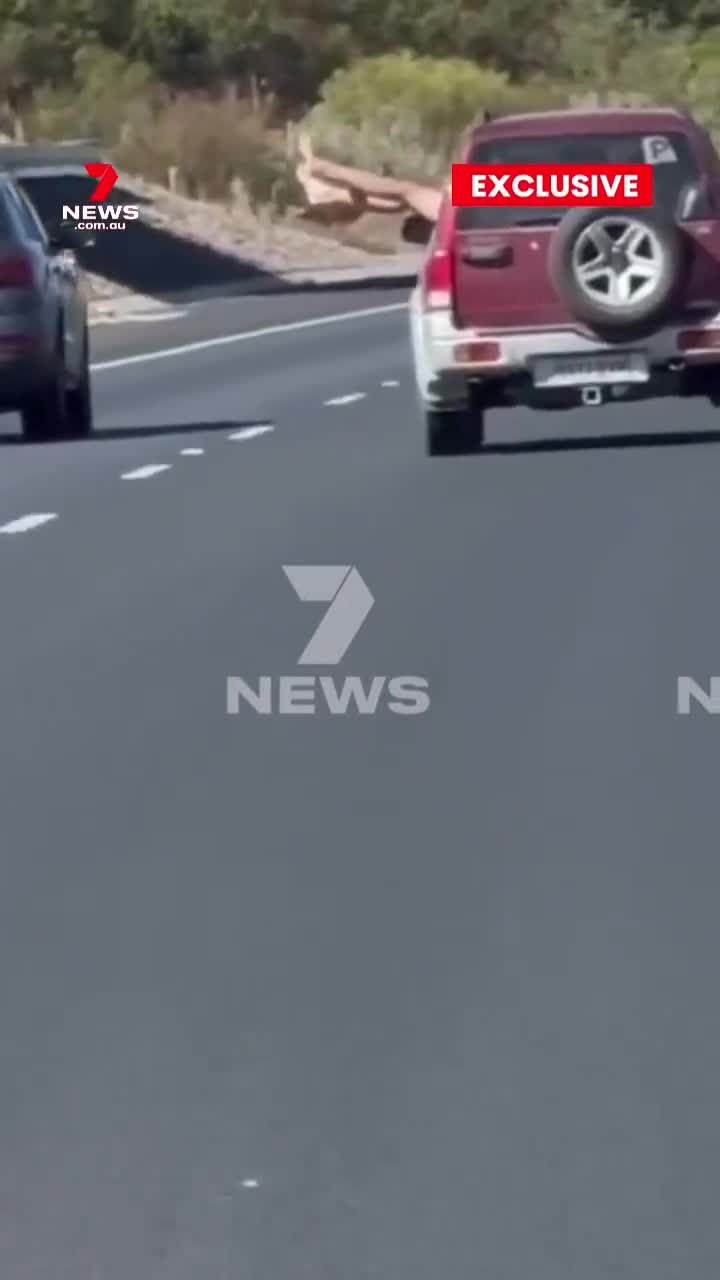 exclusive-7news-has-shocking-video-of-t-1744347259.mp4