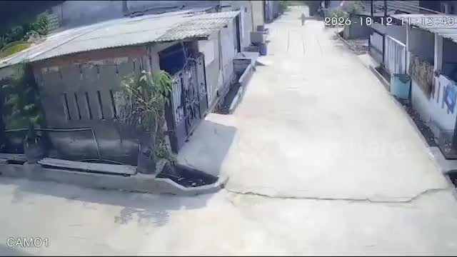 f2d4cb3bb08347465a1d09091296f2ef-1792121602.mp4