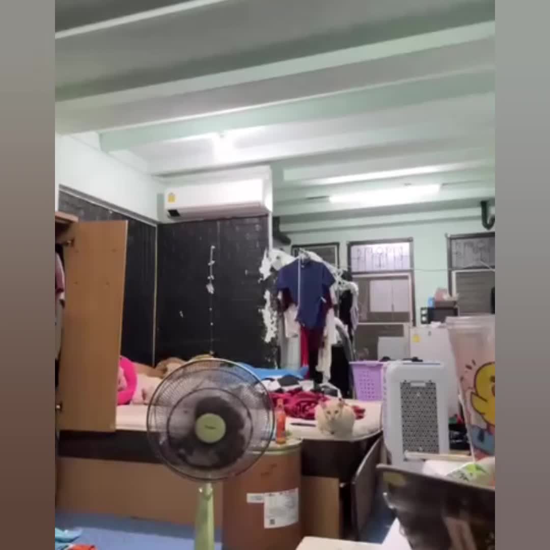 facebook-1760693439.mp4