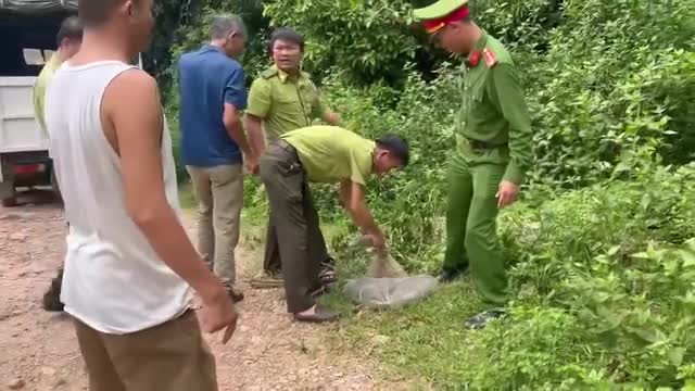 fsavecom-reels-cong-an-xa-nghia-dong-phoi-hop-hat-kiem-media-1983046755724763-005-360p-1788005627.mp4