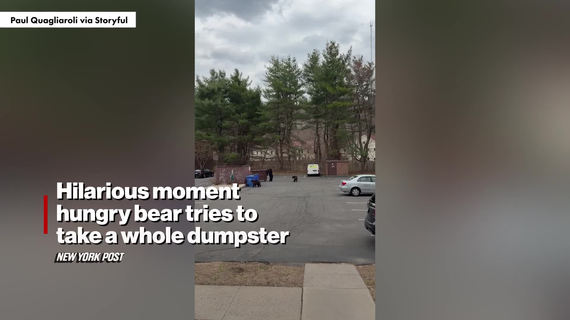 hilarious-moment-hungry-bear-tries-to-take-a-whole-dumpster-video-new-york-post-1775537932.mp4