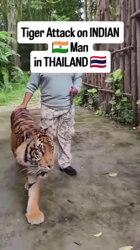 ho-tan-cong-1748592594.mp4