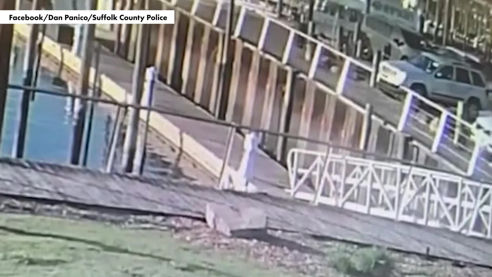 inexperienced-driver-launches-jeep-over-long-island-pier-1747104840.mp4