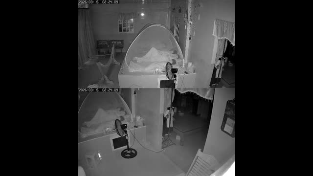 ke-trom-vao-nha-cuom-tai-san-sau-dam-cuoi-o-ca-mau-video-nguoi-dan-cung-cap-1773743059.mp4