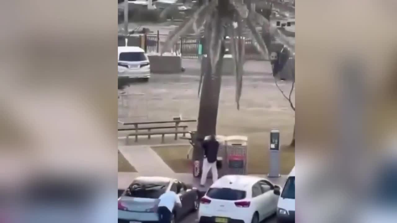 khoanh-khac-nguoi-dan-doat-vu-khi-tu-ke-xa-sung-australia-1765736164.mp4