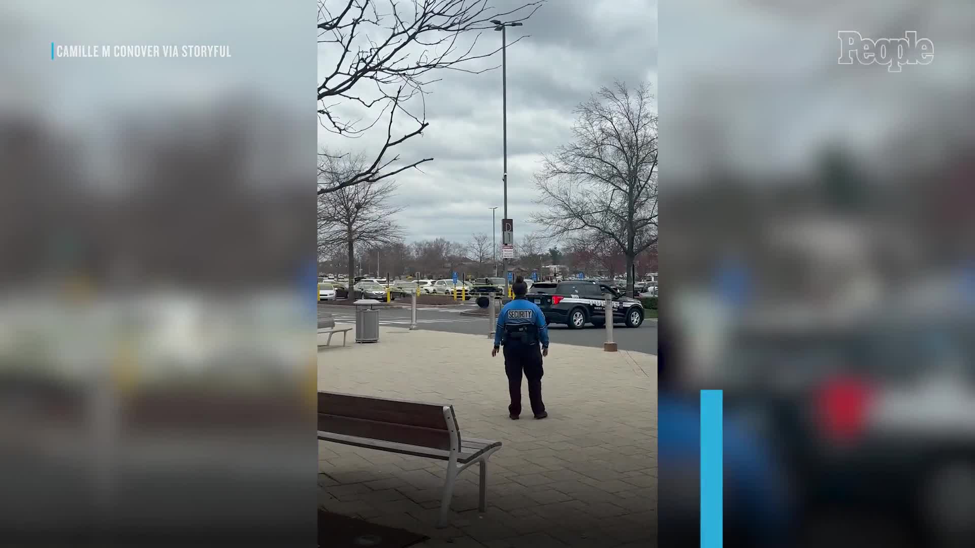 large-black-bear-spotted-charging-at-shoppers-at-conn-mall-parking-lot-1744794338.mp4