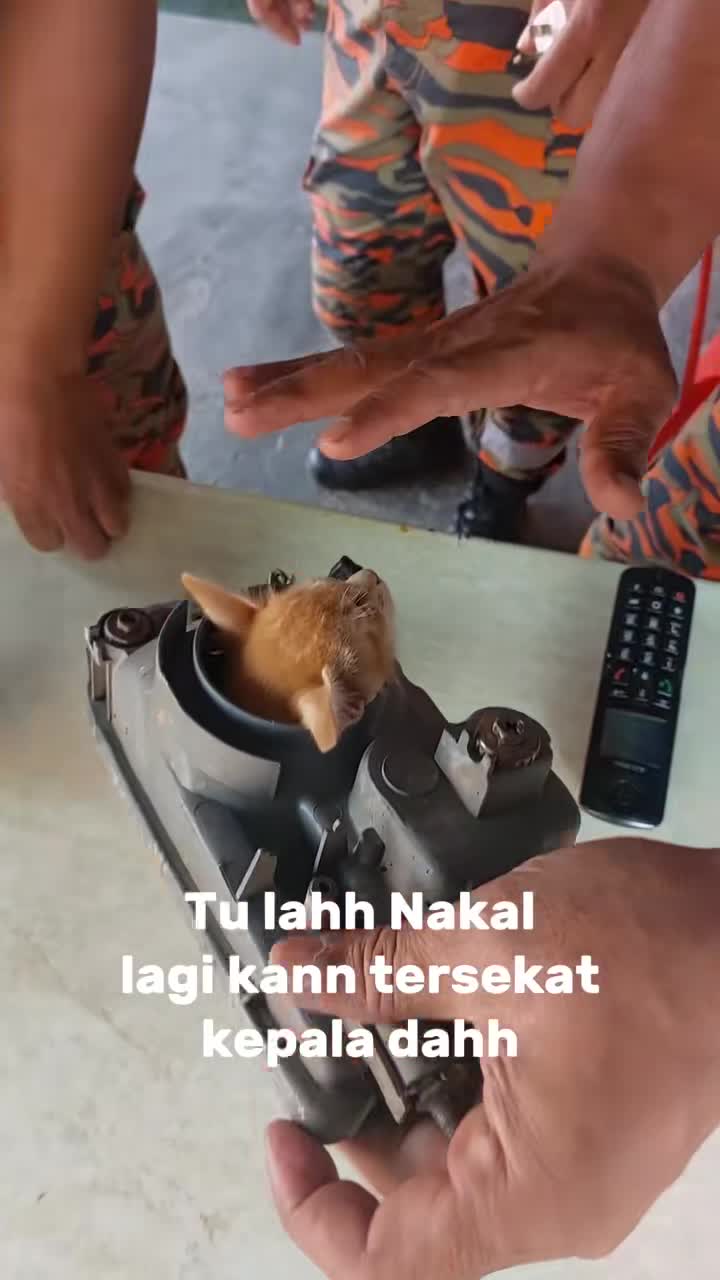 lepas-ni-oyen-jangan-nakal-ea-1747021043.mp4