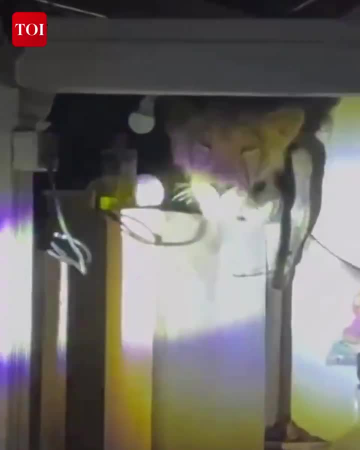 lions-midnight-trip-into-their-kitchen-1744040225.mp4