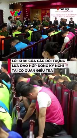 loi-khai-giam-doc-cong-ty-so-huu-ky-nghi-thu-tien-khach-cang-nhieu-cang-tot-1781744274.mp4