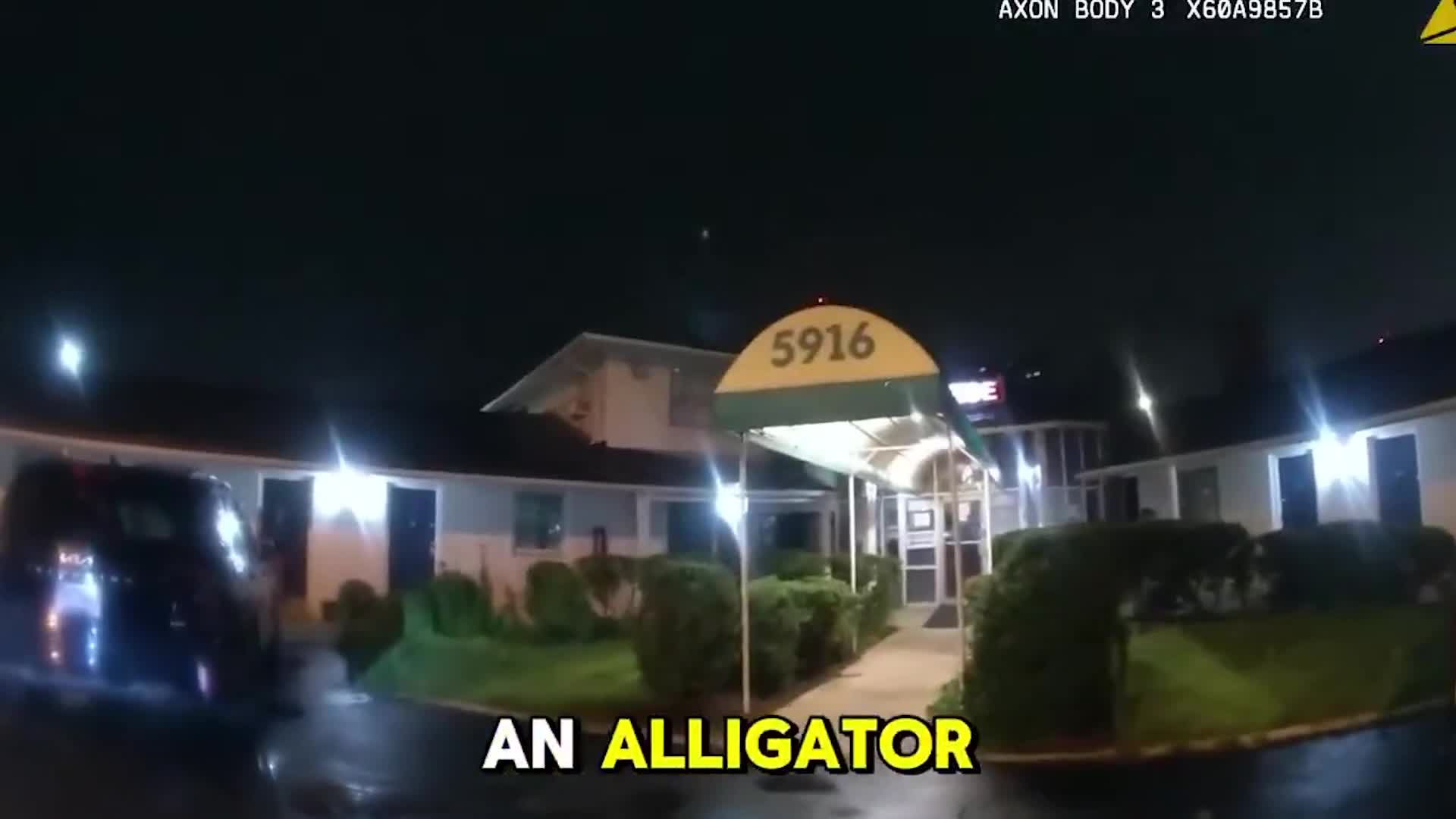 lost-6-foot-alligator-shows-up-at-virginia-motel-spooks-cops-in-hilarious-video-1750146014.mp4