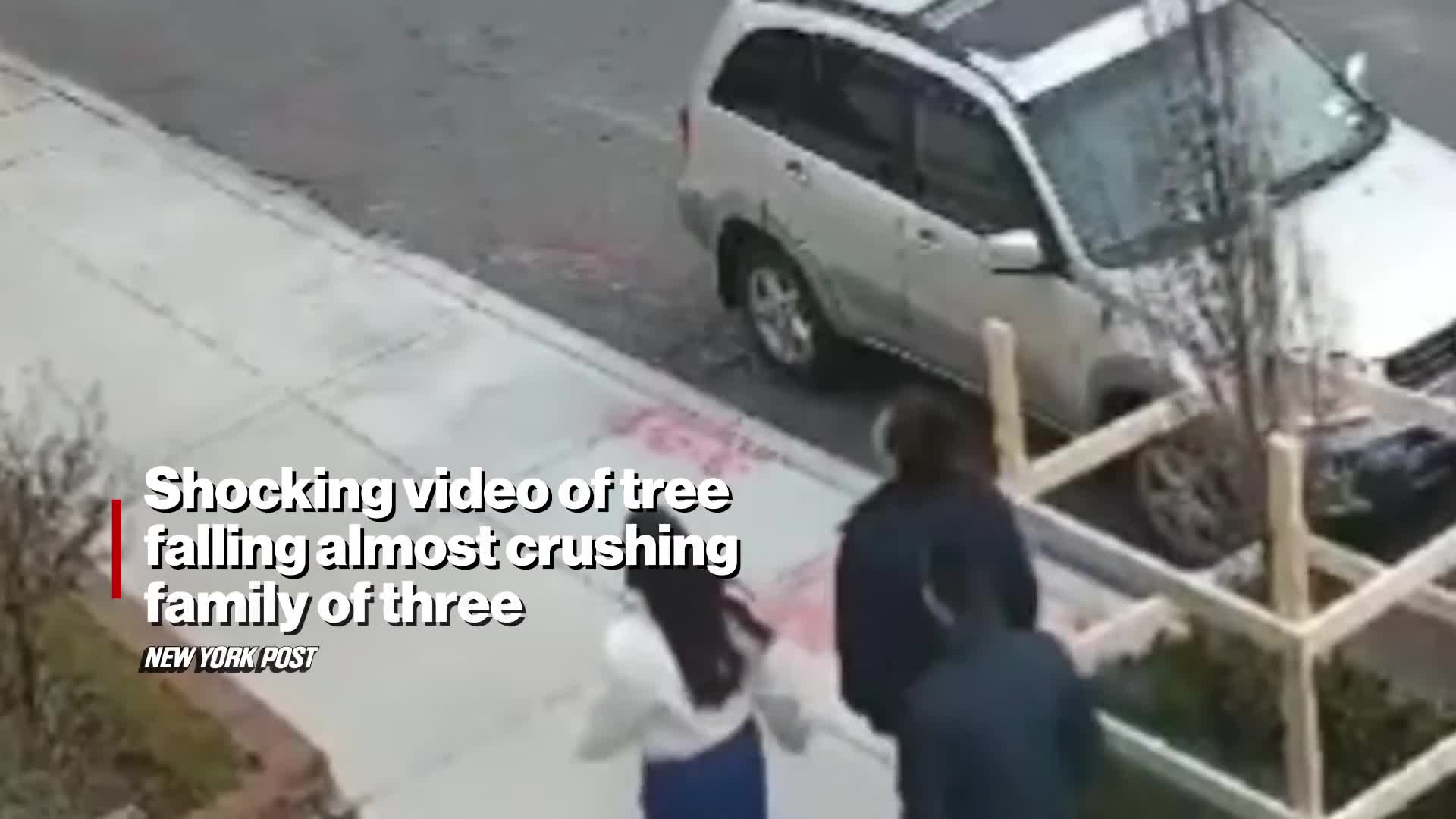 massive-nyc-tree-comes-within-inches-of-squashing-family-of-three-in-dramatic-video-1741254447.mp4
