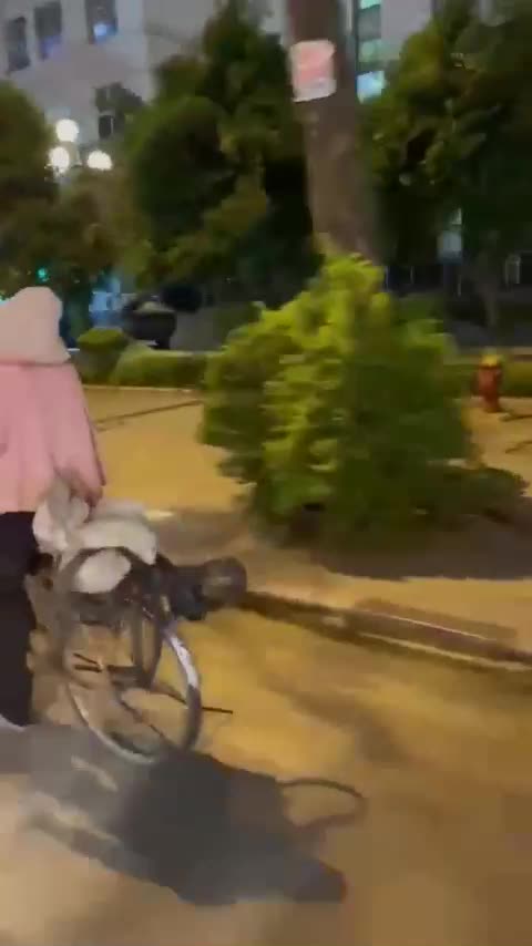me-u70-dap-xe-tu-thanh-hoa-ra-ha-noi-tim-con-roi-mat-tich-gia-dinh-do-mat-tim-bao-vietnamnet-1750999140.mp4