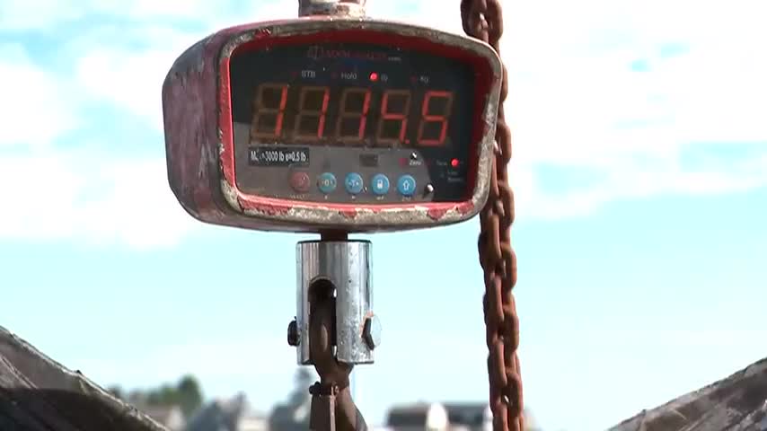 ngu-dan-cau-duoc-con-ca-ngu-khong-lo-nang-506-kg-tren-bien-1791515033.mp4