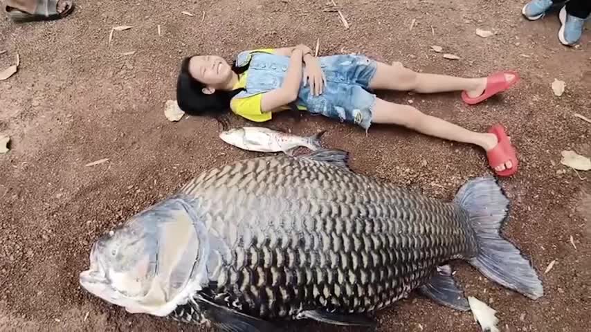 nguoi-dan-bat-duoc-con-ca-chep-khong-lo-nang-100kg-tren-song-1791949035.mp4