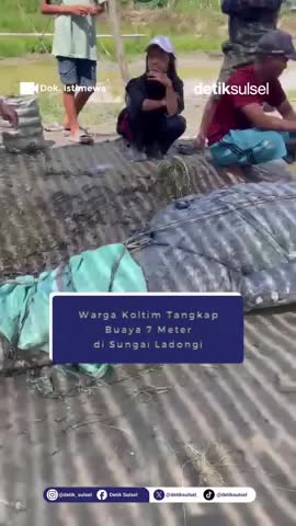 nguoi-dan-bat-song-con-ca-sau-khong-lo-dai-7-met-tren-song-1790314333.mp4
