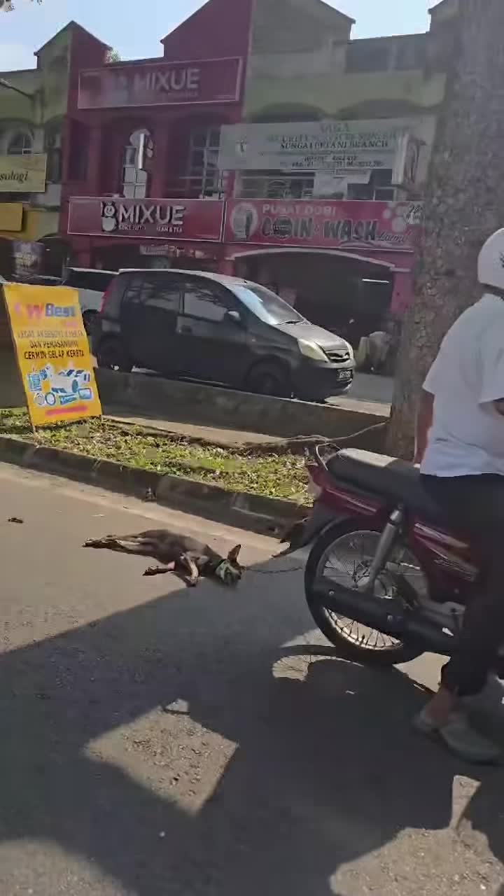 noi-dung-bao-luc-hoac-phan-cam-1750217720.mp4